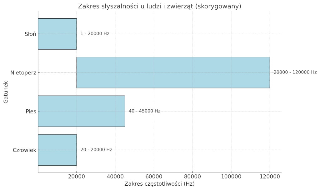 wykres przedstawiający zakres słyszalności częstotliwości u ludzi i wybranych zwierząt psów, nietoperzy i słoni